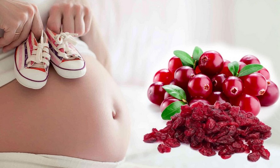 Клюква при беременности — польза, противопоказания и риски употребления