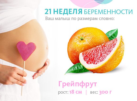 21 неделя беременности – как ощущает мама активность и быстрый рост малыша?