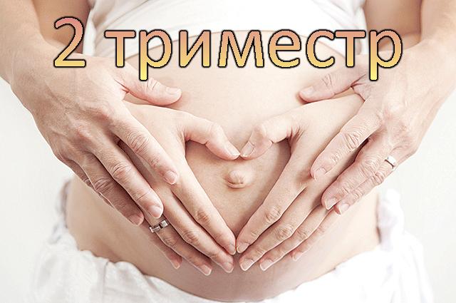 Второй триместр беременности: это сколько недель, что происходит и как себя вести — медицинский женский центр в москве