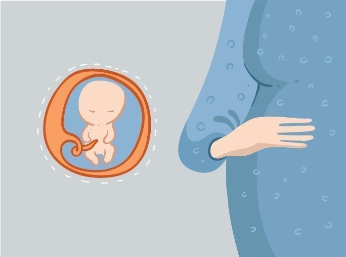 15 неделя беременности - развитие ребенка