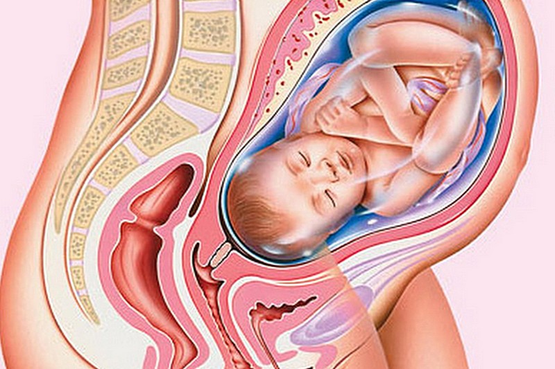 Тонус матки во время беременности: признаки, диагностика, лечение