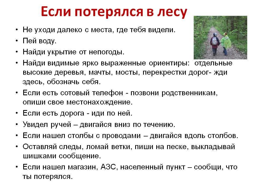 План поиска потерявшегося туриста