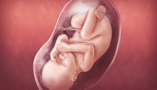 38 неделя беременности: ваш малыш уже считается доношенным.