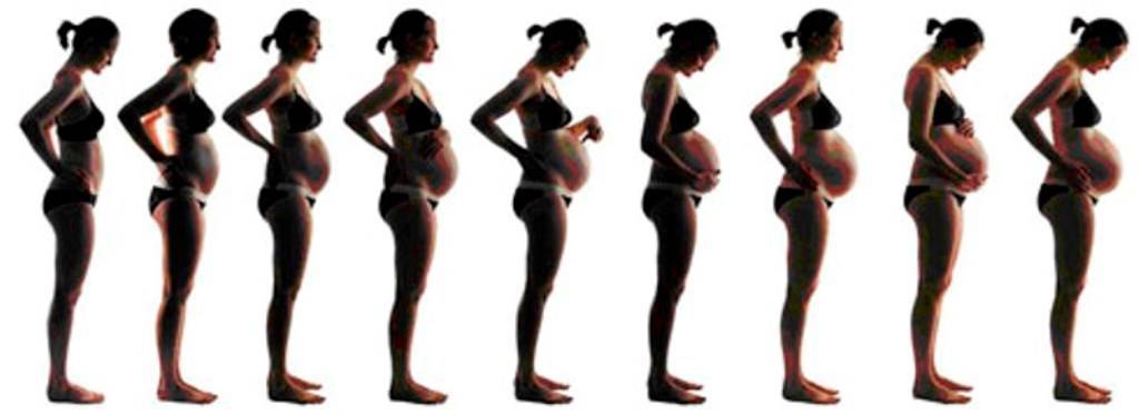 Когда и на каком сроке начинает расти живот при беременности - на какой неделе и месяце у беременных и как растет по неделям и во сколько