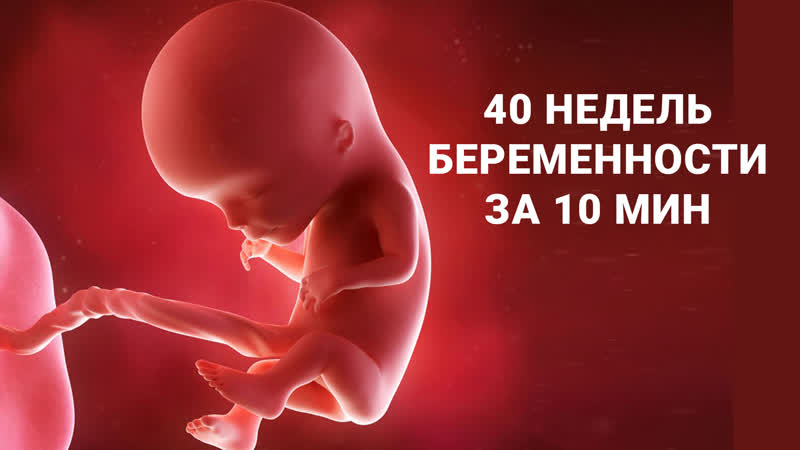 40 недель вопросы