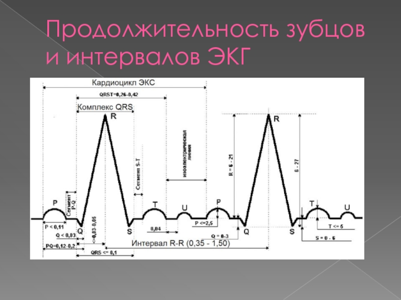 Ниже представлена фотография фрагмента электрокардиограммы