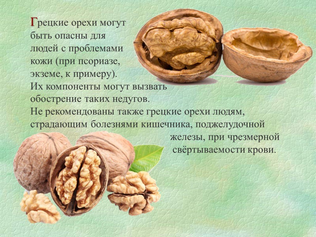 Грецкие орехи при беременности (1, 2 и 3 триместр)