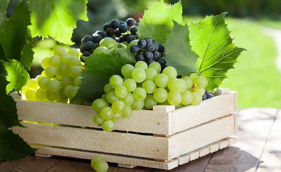 Виноград при грудном вскармливании: польза или опасность?