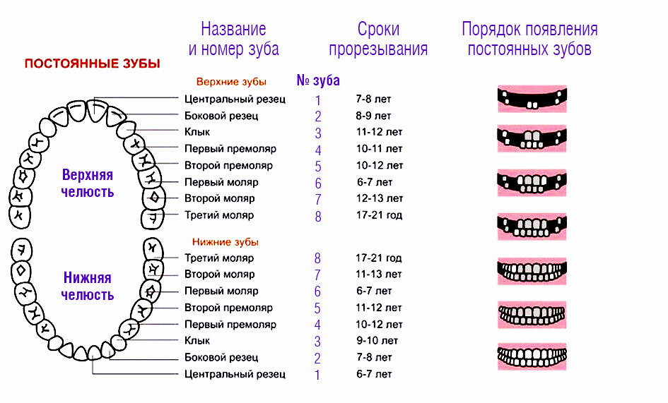 Герметизация зубов у детей - процедура герметизации и последствия