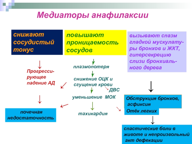 Что такое анафилаксия