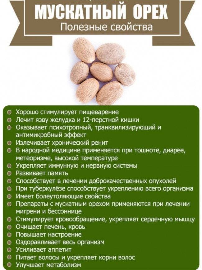 Грецкие орехи при беременности — польза, противопоказания и риски употребления