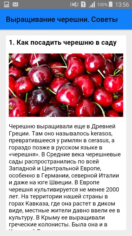 Черешня: посадка и уход, размножение, обрезка (фото) +отзывы