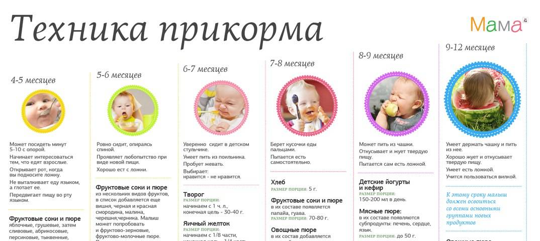 Первый прикорм при грудном вскармливании