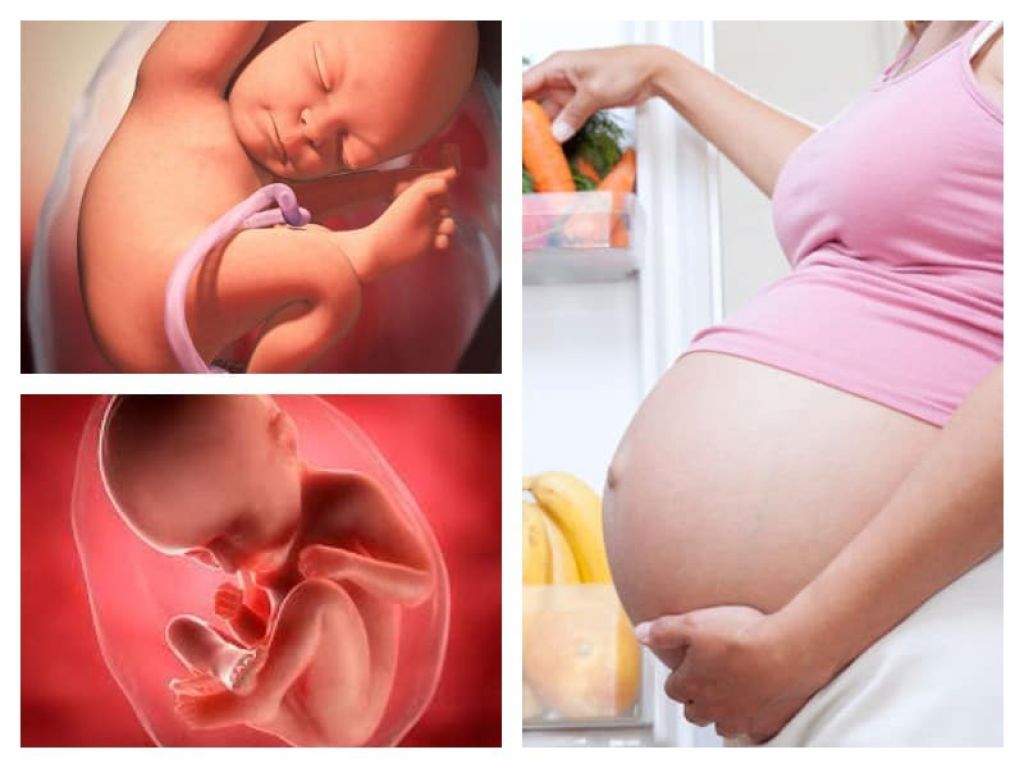 35 неделя беременности: что происходит с малышом и мамой, вес, рост и развитие плода, ощущения, подготовка к родам