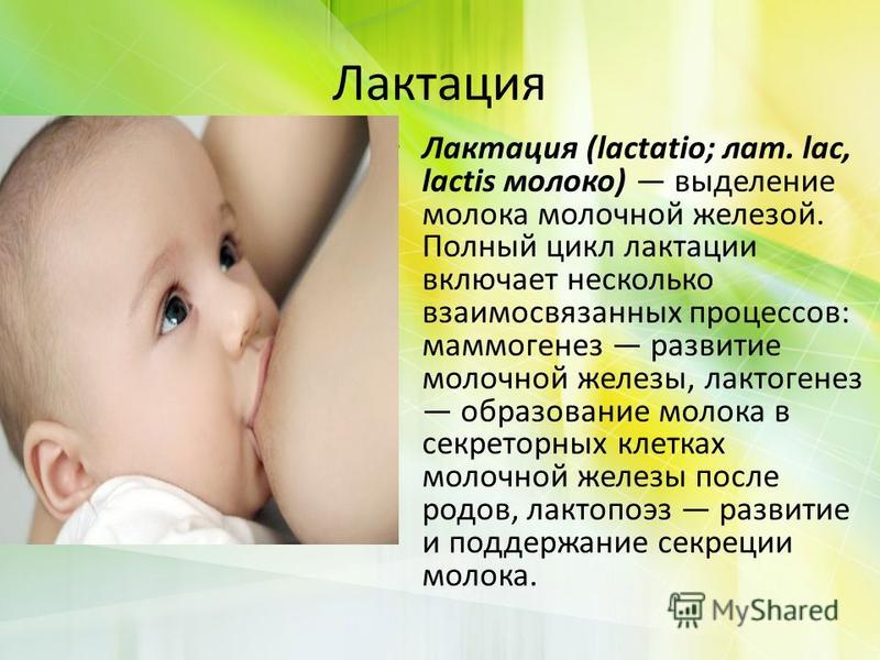 Как восстановить грудное вскармливание: общие рекомендации и причины снижения выработки молока