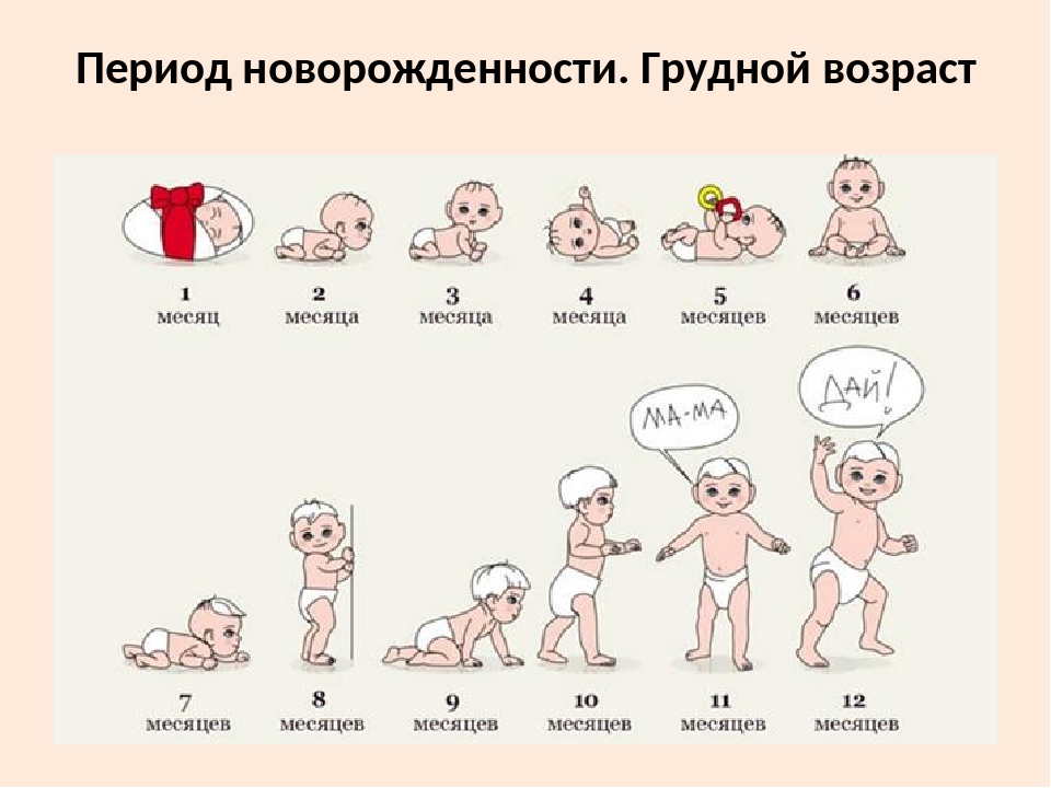 Развитие ребенка от 2 до 3 лет: как развивается рост, речь, навыки, средние показатели – agulife.ru. - agulife.ru