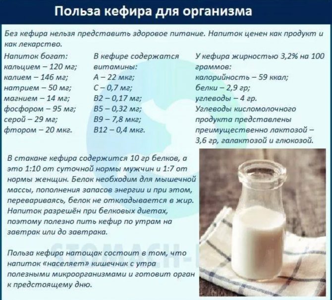 Молочные продукты улучшают пищеварение? - форма