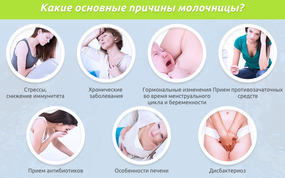 Молочница: симптомы и лечение – напоправку – напоправку