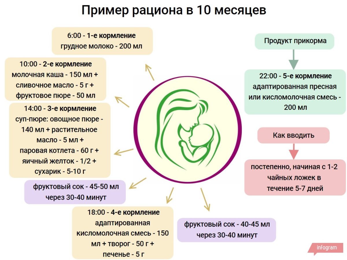Рацион ребёнка в 10 месяцев на грудном вскармливании