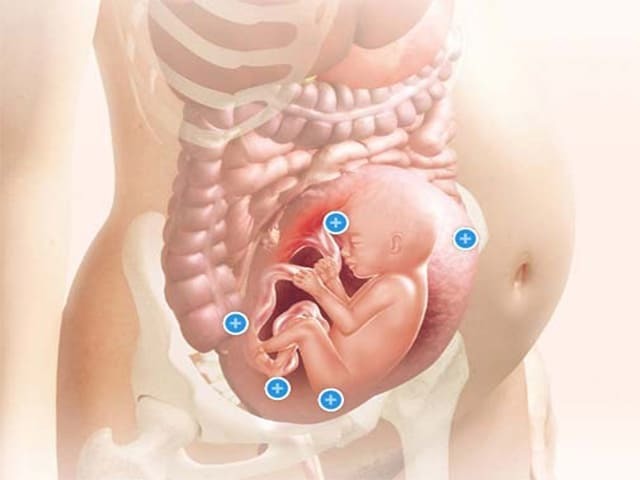 20 неделя беременности: что происходит с малышом и с мамой | развитие плода, узи и что может болеть у мамы