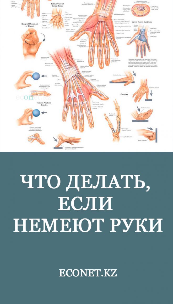 Почему немеют пальцы рук: причины и лечение — клиника профессора кинзерского в челябинске