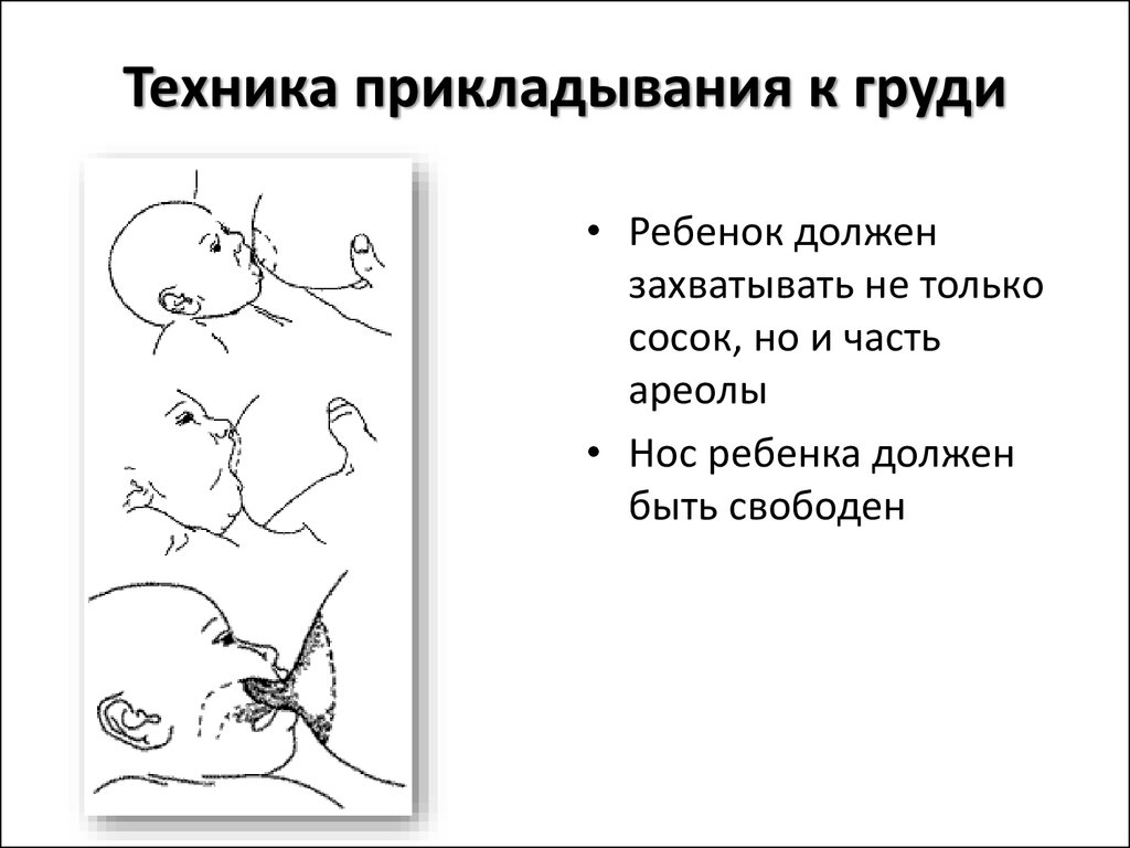 Как приучить ребенка к гв. Правильное прикладывание к груди новорожденного. Техника прикладывания при грудном вскармливании. Правильное прикладывание новорожденного к грудному вскармливанию. Памятка правильное прикладывание ребенка к груди.