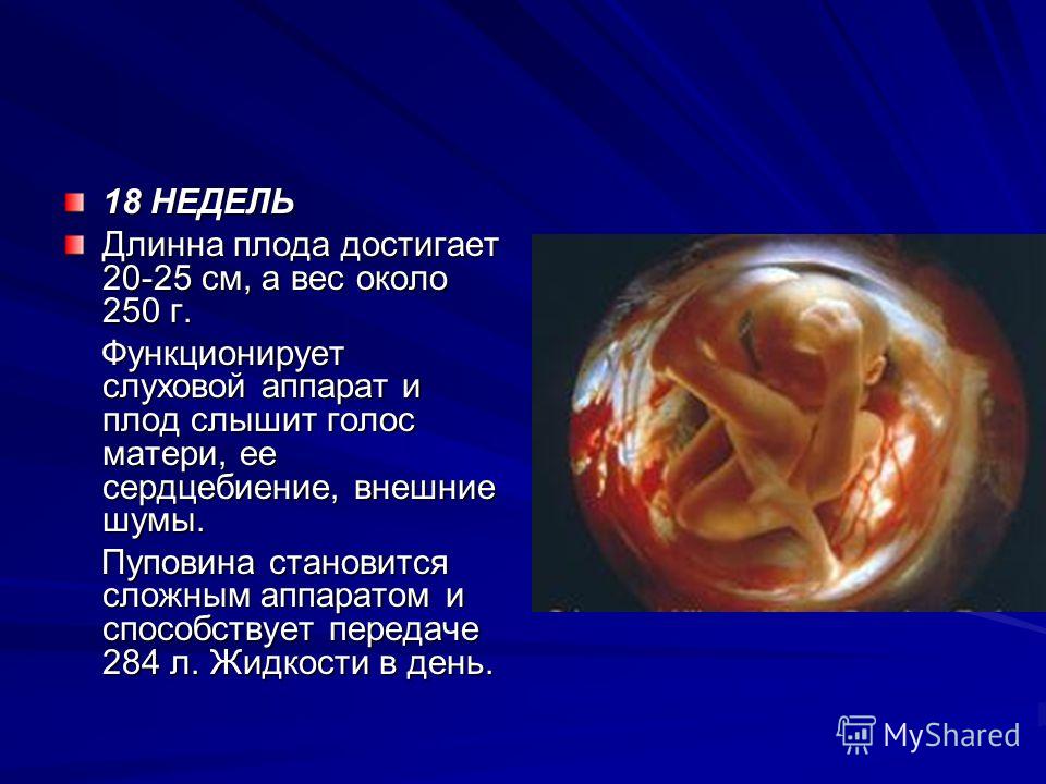 Беременность – пренатальный скрининг трисомий i триместра беременности (синдром дауна): исследования в лаборатории kdlmed