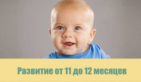 Что должен уметь ребенок в  11 месяцев (девочки и мальчики). развитие ребенка в 11 месяцев | семья и мама