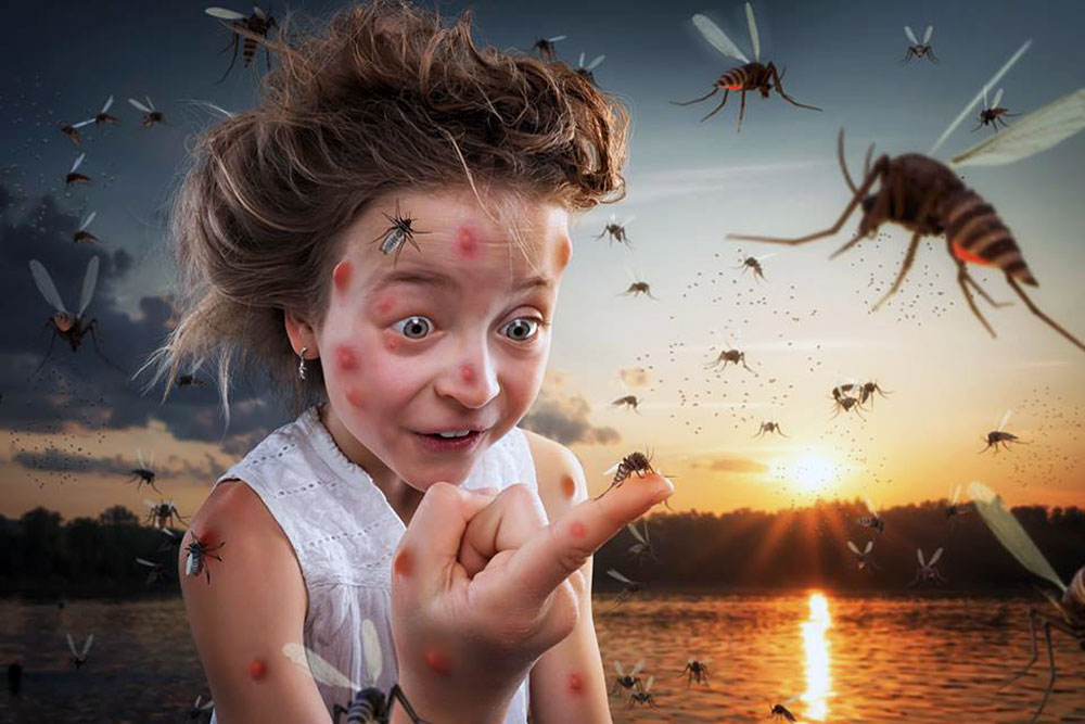 Почему ребенок боится насекомых?