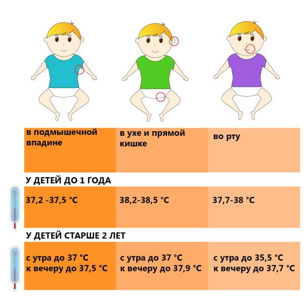 2.2. особенности терморегуляция у новорожденных. нарушения теплового баланса у новорожденных детей