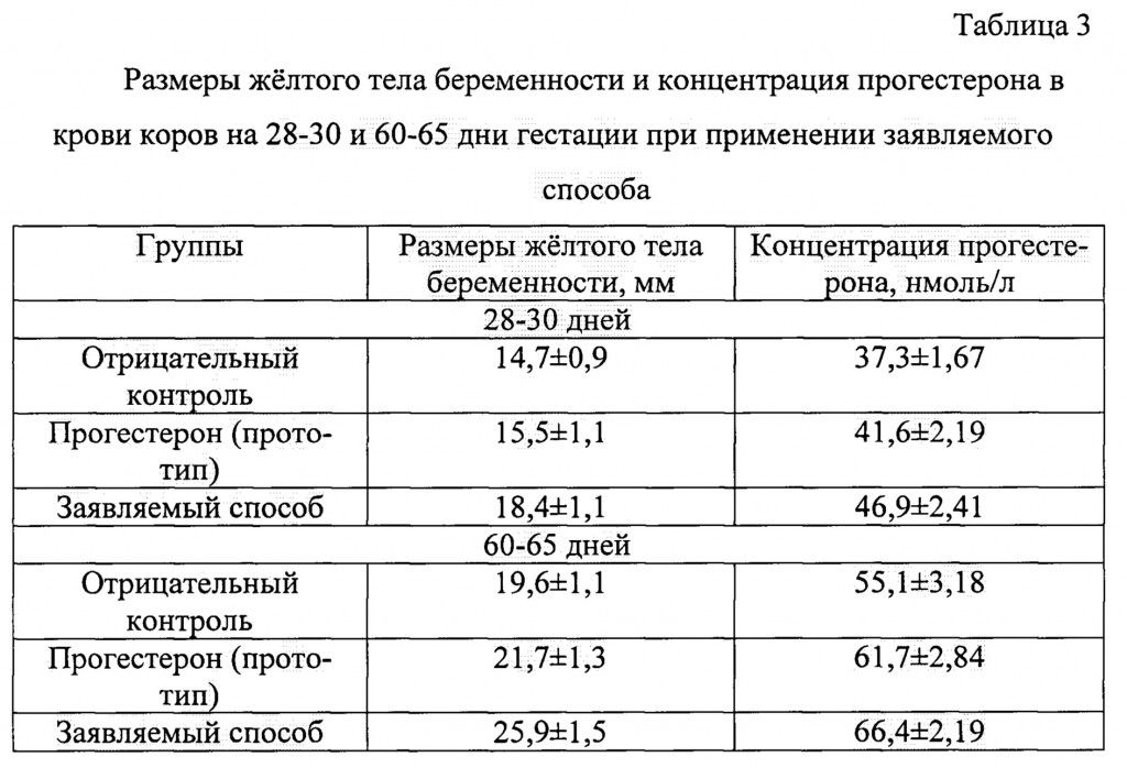 Желтое тело