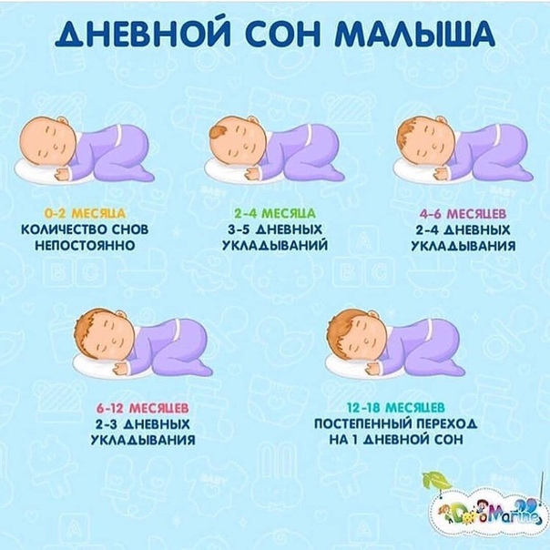 Режим сна и бодрствования ребенка
