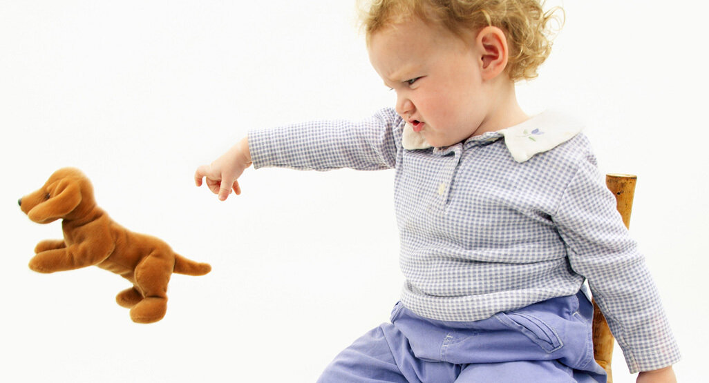Ребенок кусается, не делится игрушками и кидается песком: что делать? как отучить ребенка кусаться