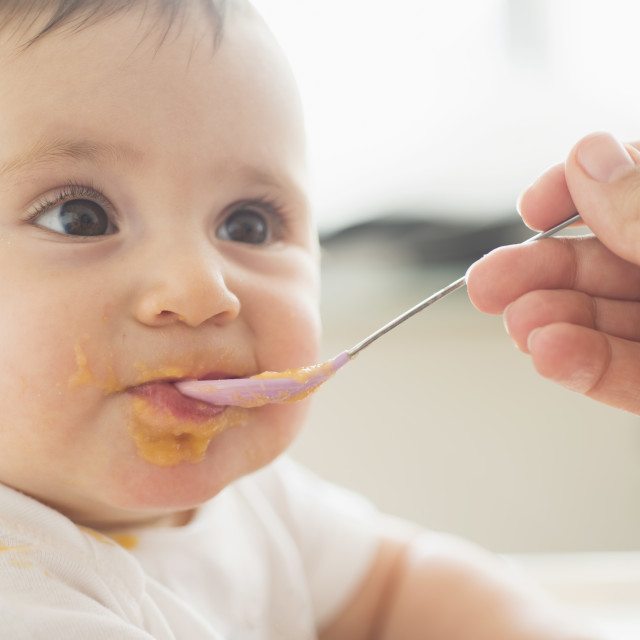 Кушать подано или что надо знать родителям о введении прикорма