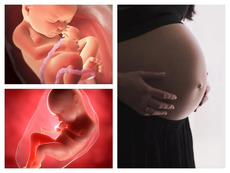 34 неделя беременности: ощущения, развитие плода, возможные риски