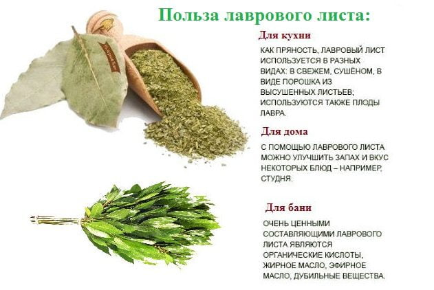 Заваривать лавровый лист при аллергии детям
