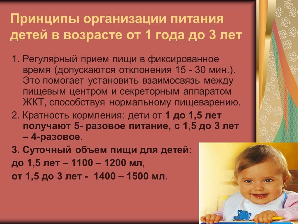 Питание ребенка от 1,5 до 3 лет, как правильно кормить ребенка, выбор продуктов, примерное меню | азбука здоровья