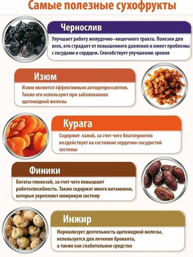 Финик: полезные свойства и калорийность | food and health