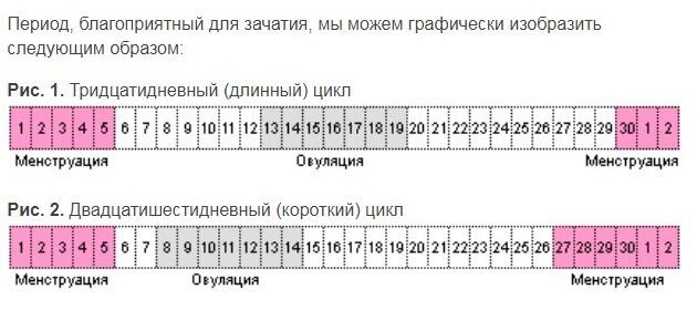 В какие дни можно забеременеть: как правильно рассчитать овуляцию