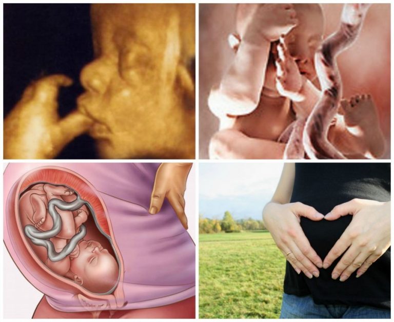 Вес и рост ребенка на 35 неделе беременности и нормы (17 фото): что происходит с малышом, развитие плода, как выглядит ребенок рожденный на 35 неделе