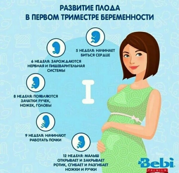 Второй триместр беременности - советы специалиста