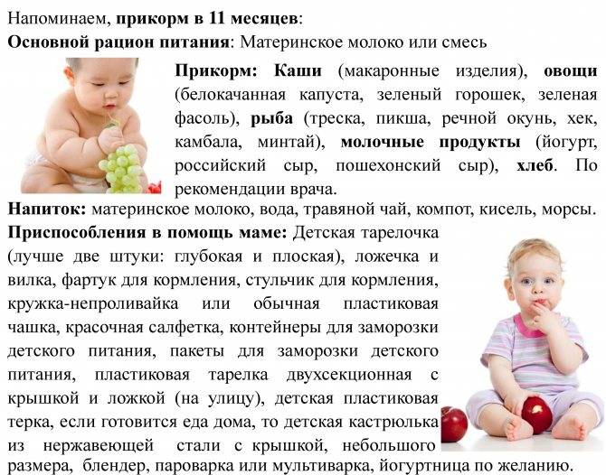 Меню ребенка в 10 месяцев: питание и рацион на грудном и искусственном вскармливании
