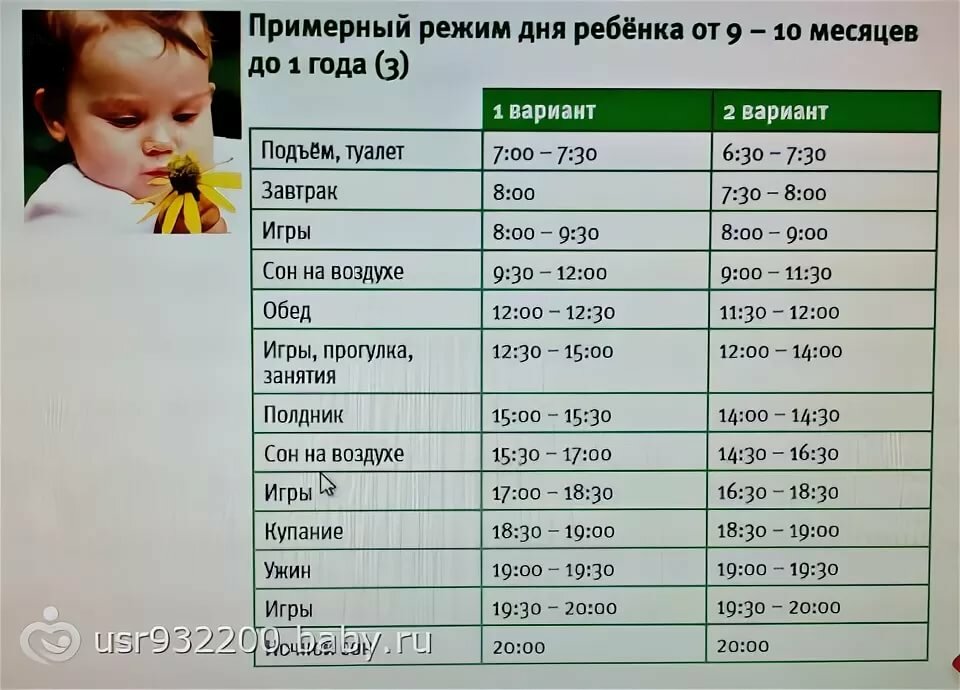 Режим дня ребенка в 10 месяцев: распорядок 10-месячного малыша по часам
