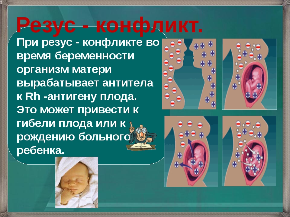 Анализ на резус конфликт при беременности: где сдать, расшифровка, цена — медицинский женский центр в москве