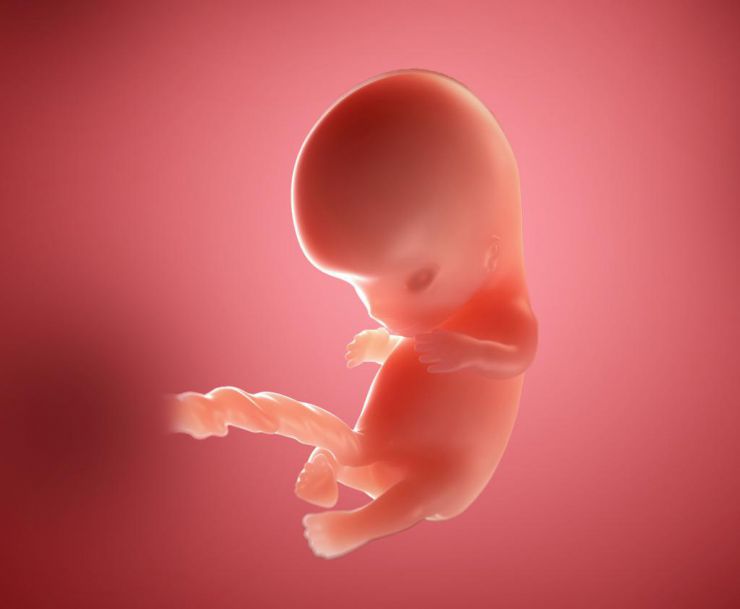 Десятая неделя беременности: фото живота, что происходит с малышом, ощущения мамы