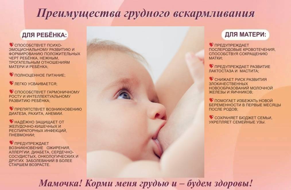 Как отучить ребенка от грудного вскармливания