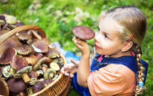 Можно ли детям шампиньоны: с какого возраста давать грибы, со скольки лет есть, комаровский