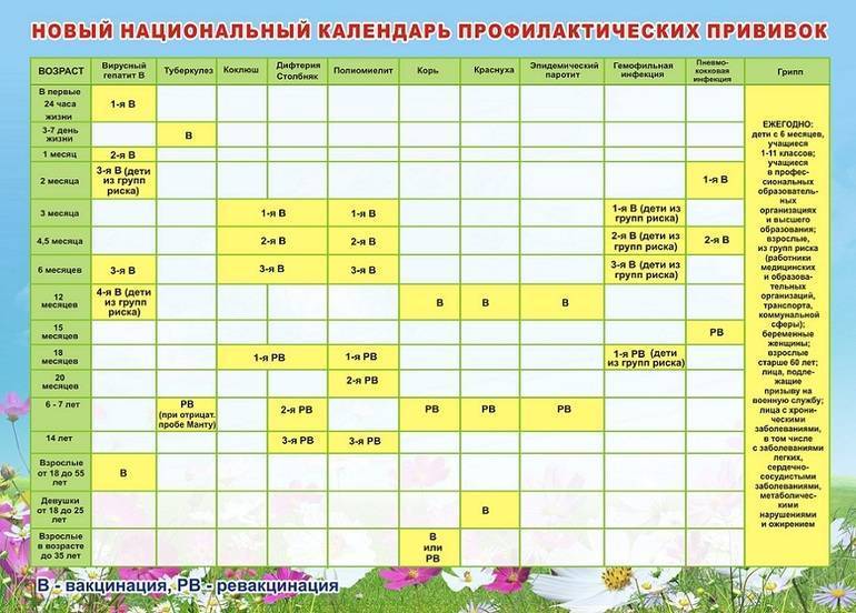 Календарь прививок детям до 1 года (в России). Что нужно знать мамам