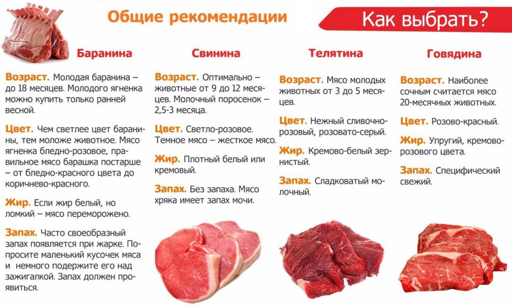 Можно ли курам давать кости от жареной рыбы