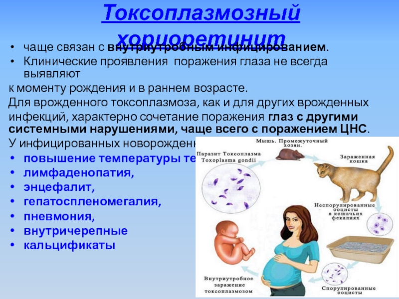 Токсоплазмоз у беременных - симптомы болезни, профилактика и лечение токсоплазмоза у беременных, причины заболевания и его диагностика на eurolab